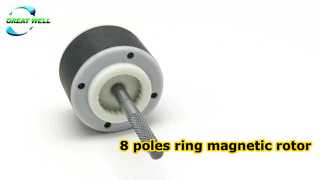 Rotor magnético de anillo de 8 polos.