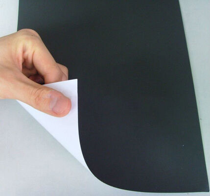 Epoxy Coated Neodymium Permanent Magnets Featuring