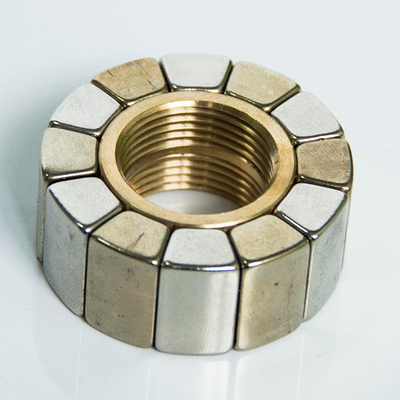 Buen precio Neodimio Ring Magnet Magnetic Assembly en línea